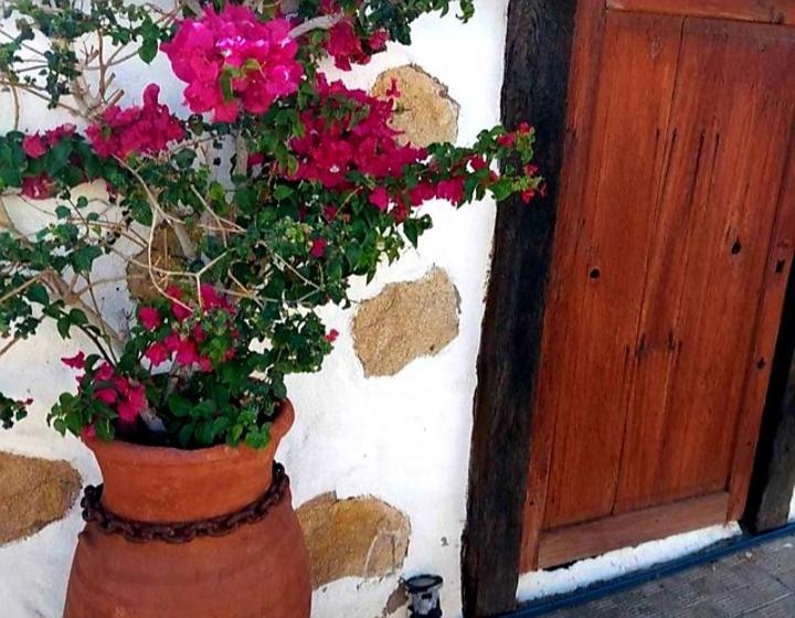 Casa Rural Alessia With Jacuzzi ,Garden & Swimming Pool سانتا كروز دي تينيريف المظهر الخارجي الصورة